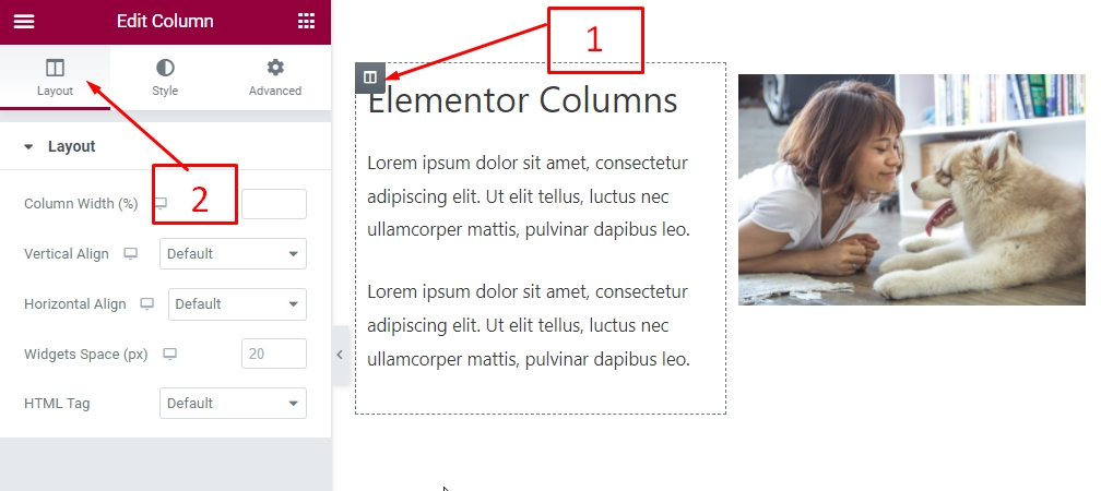 elementor-column-size-option