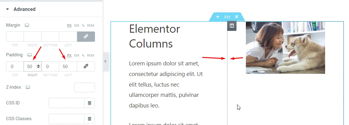 elementor-separate-columns